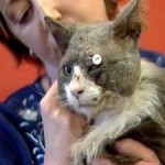 smokey_kucing