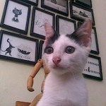 SiBoo