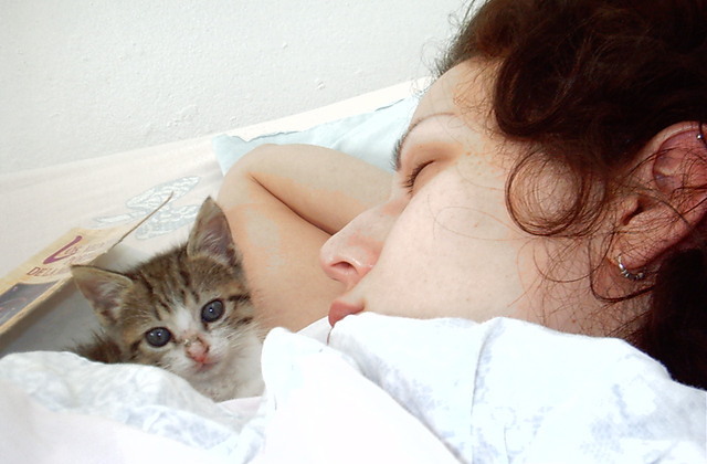 Tidur bersama kucing