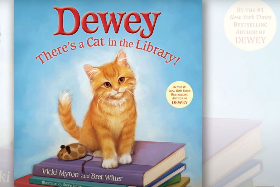 Dewey There's a Cat in the Library